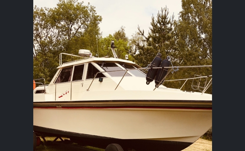 Sterna Muu malli-kuva-3